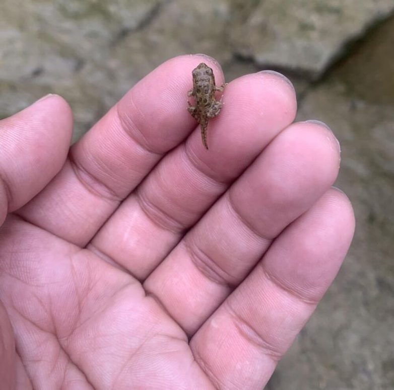 Невероятные находки, которые стали результатом чистой случайности