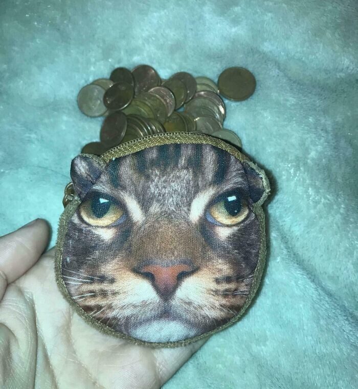 Говорят, мужчины не взрослеют...