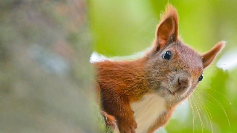 Снимки, демонстрирующие скрывающуюся в мелочах вселенную