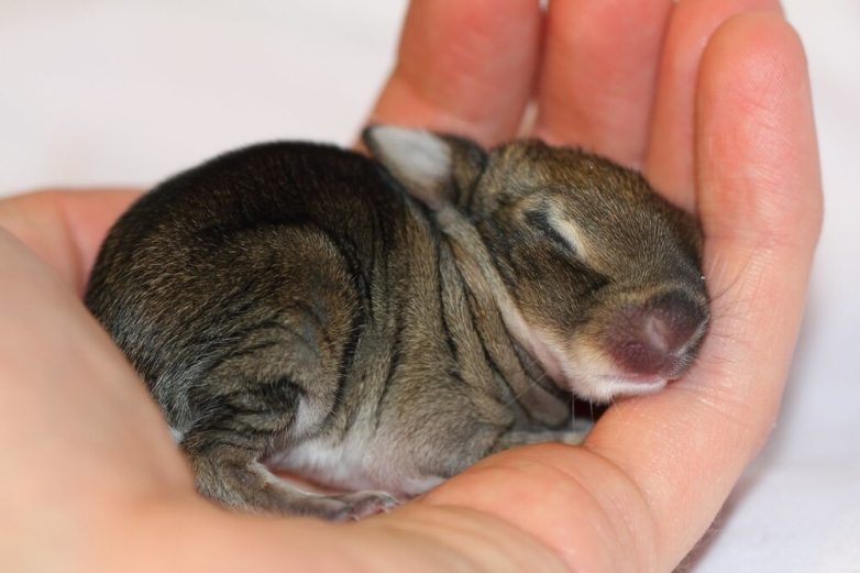 Снимки, демонстрирующие скрывающуюся в мелочах вселенную