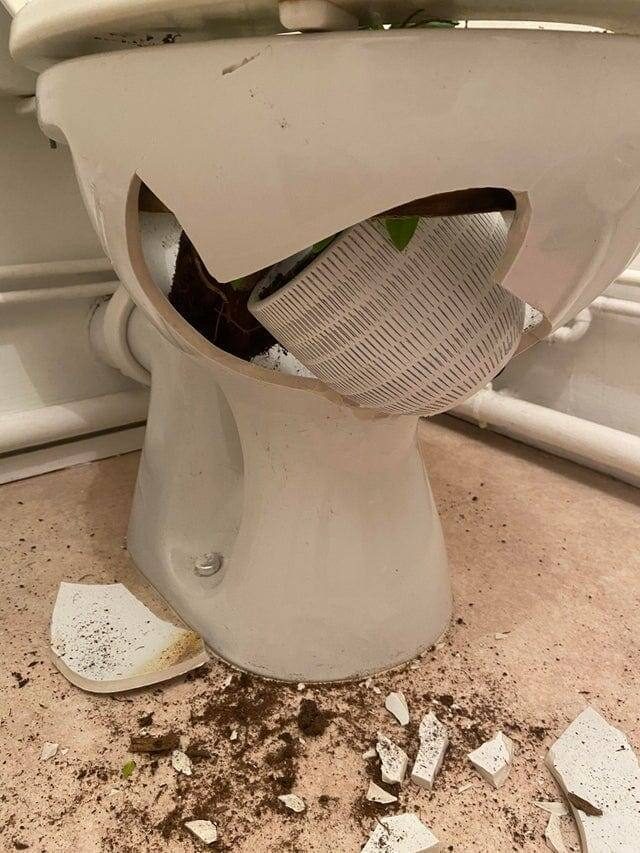 Провалы, которые показали людям, что неприятности могут застать их даже дома