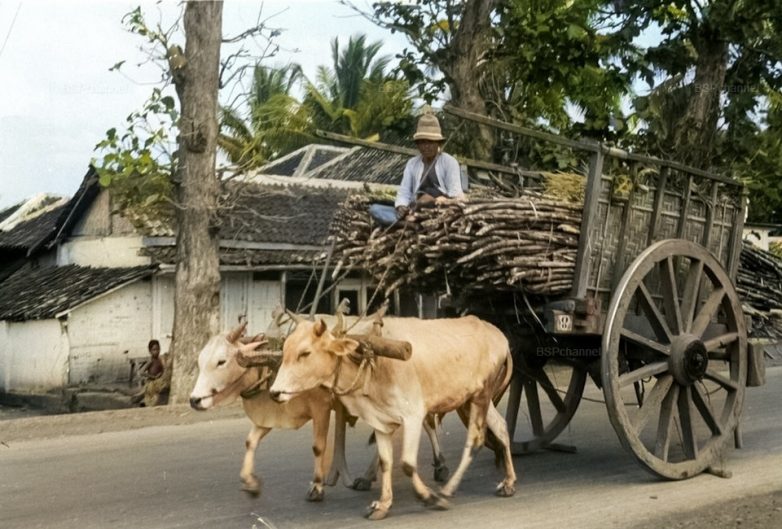 Исторические шедевры. Просто супер!
