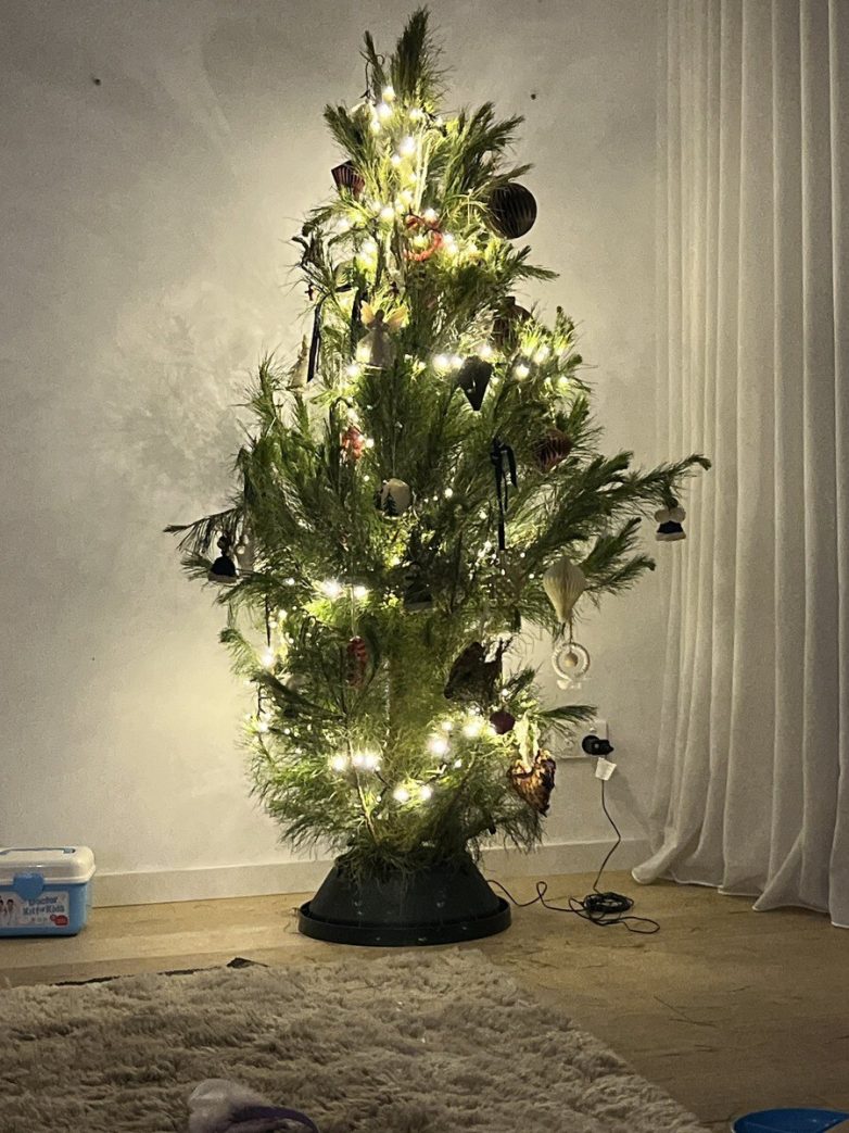 Отец с сыном придумали новогоднюю традицию - каждый год они ищут самую уродливую ёлку