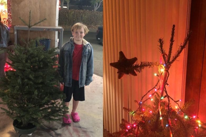 Отец с сыном придумали новогоднюю традицию - каждый год они ищут самую уродливую ёлку