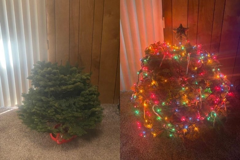 Отец с сыном придумали новогоднюю традицию - каждый год они ищут самую уродливую ёлку