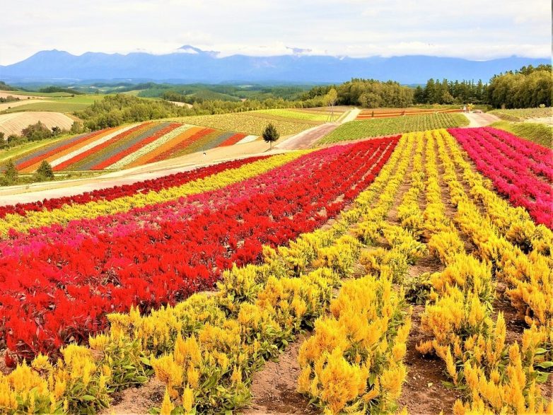 Фото, на которых Земля бросила вызов реальности и победила