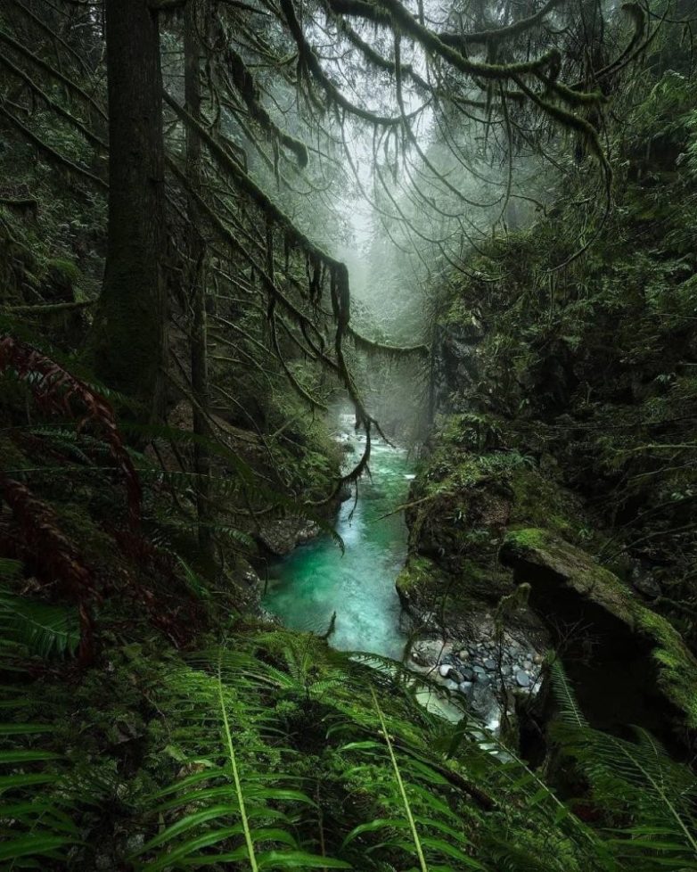 Фото, на которых Земля бросила вызов реальности и победила