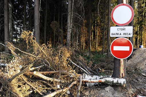 Исчезающие заповедники