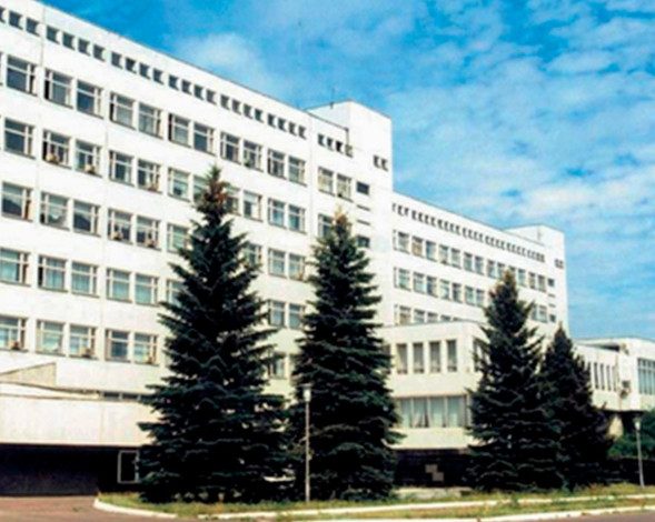 Саровский ядерный центр закупит иконы со стразами на 2,3 млн рублей в подарок «важным гостям»