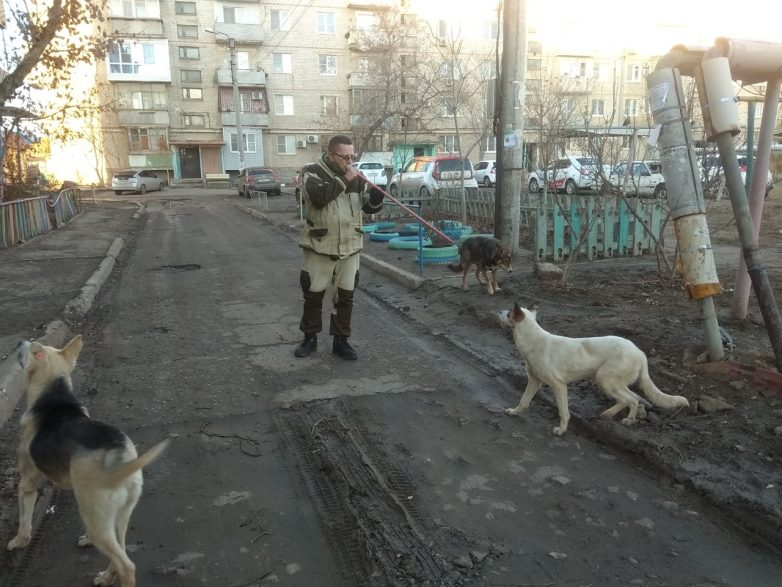 Куда делись десятки миллионов, выделенные на борьбу с собаками-людоедами в Астрахани?