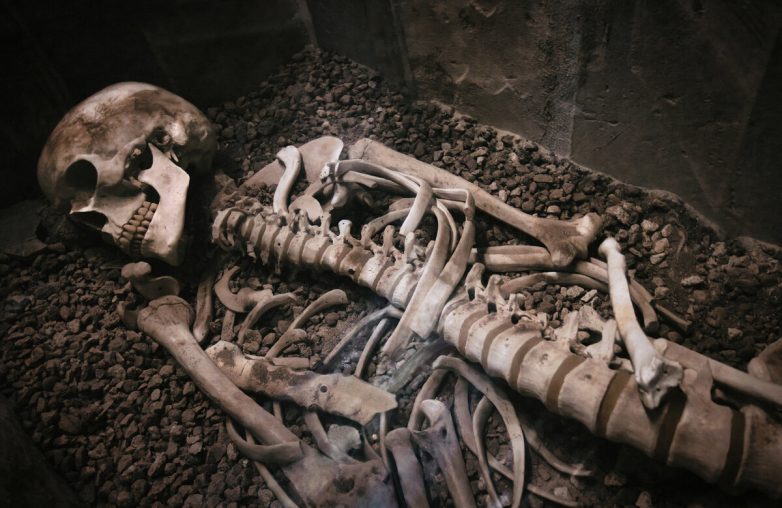 Женщина нашла скелет в колготках на чердаке дома
