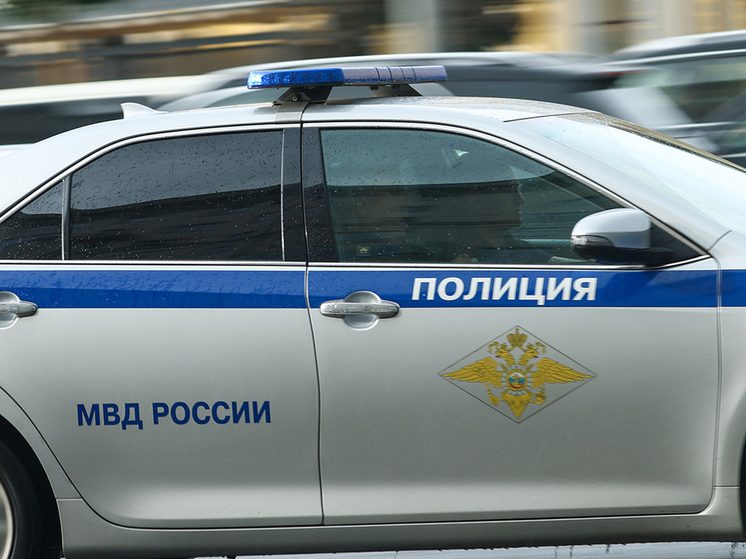 Вице-президента федерации боевых искусств расстреляли в Москве возле детсада