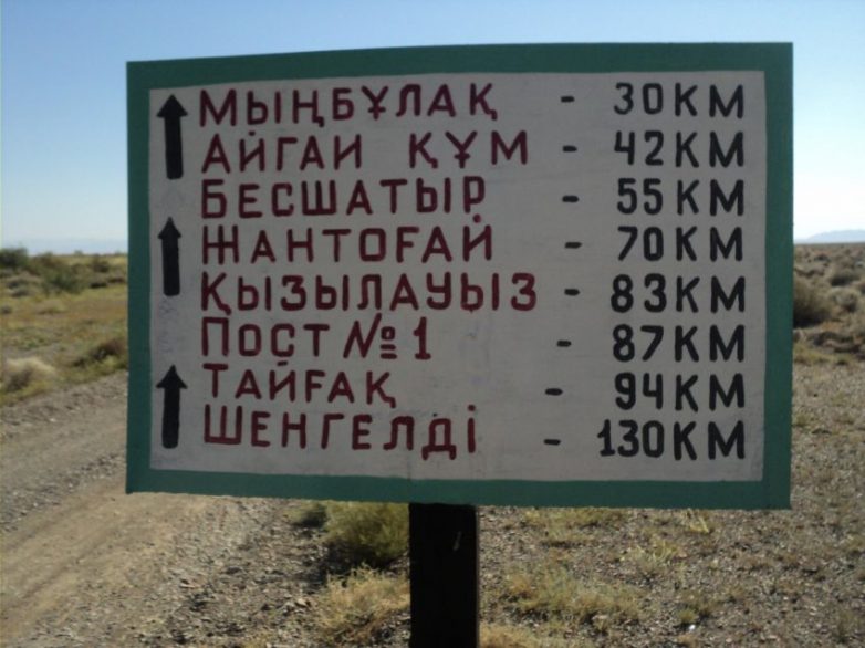 Погладь манула! Прогулка в казахстанский заповедник Алтын Эмель