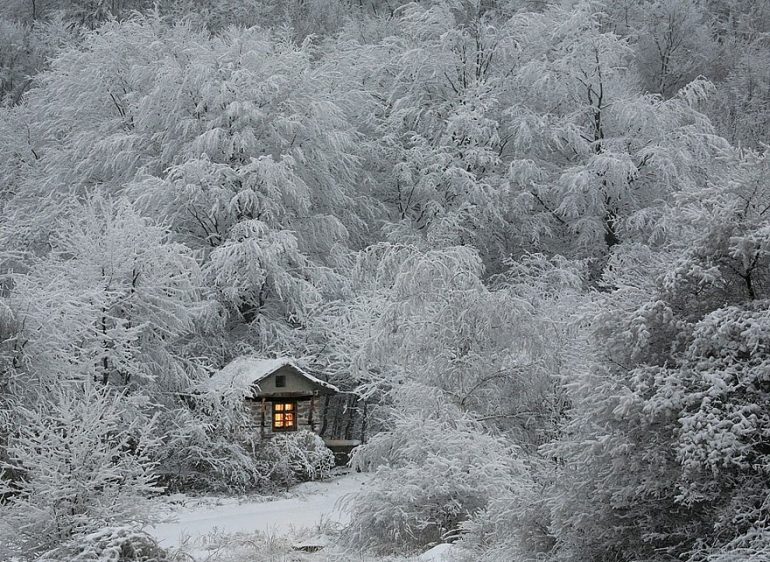 Дыхание зимы будто, создают, важно, воздушный, спячку, длинные, впечатление, наступила, вечная, Белый, отличные, животные, «декорации», отражающийся, солнечный, высоких, деревьев, великолепное, природы                  , Читать