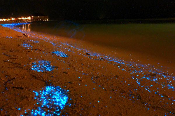 Звёздный пляж — природная аномалия на Мальдивах