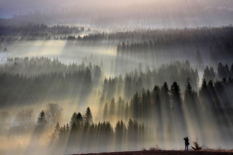 Завораживающая красота утренних лесов Польши и Чехии