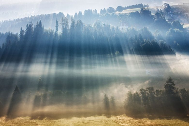Завораживающая красота утренних лесов Польши и Чехии