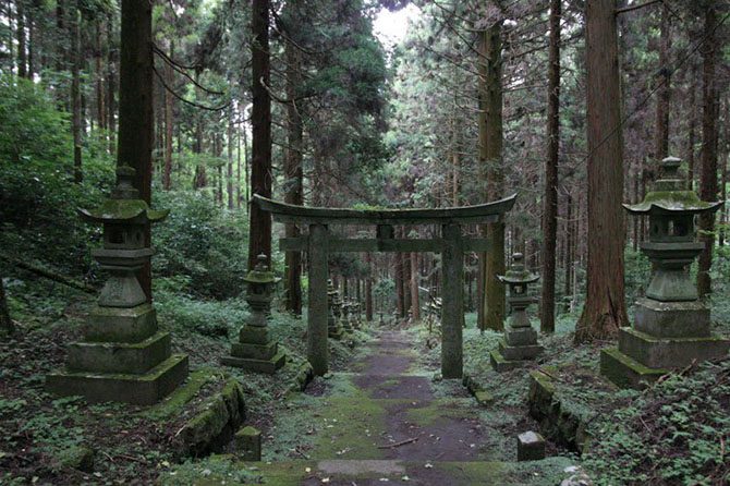 Фотопрогулка по священному японскому лесу