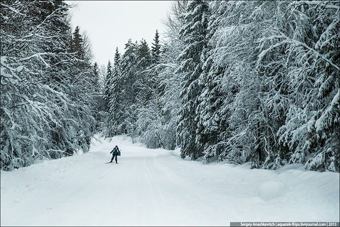 Жизнь в простой карельской деревушке глазами Сергея Анашкевича