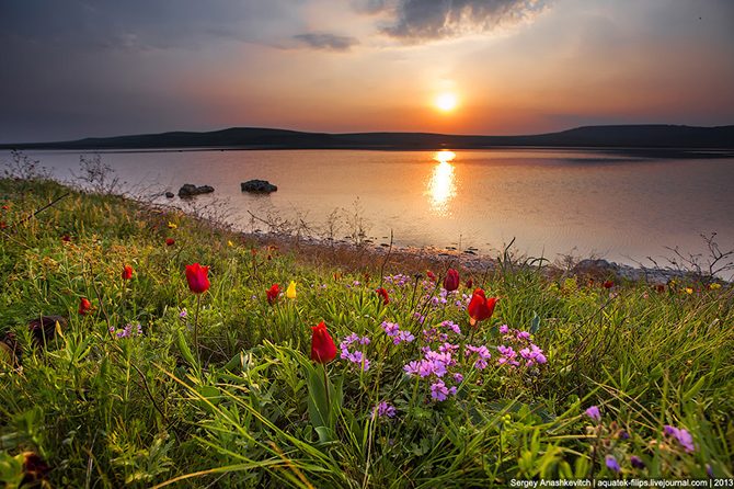 Крымская весна