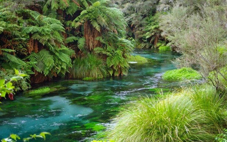 Сказочная река в Новой Зеландии