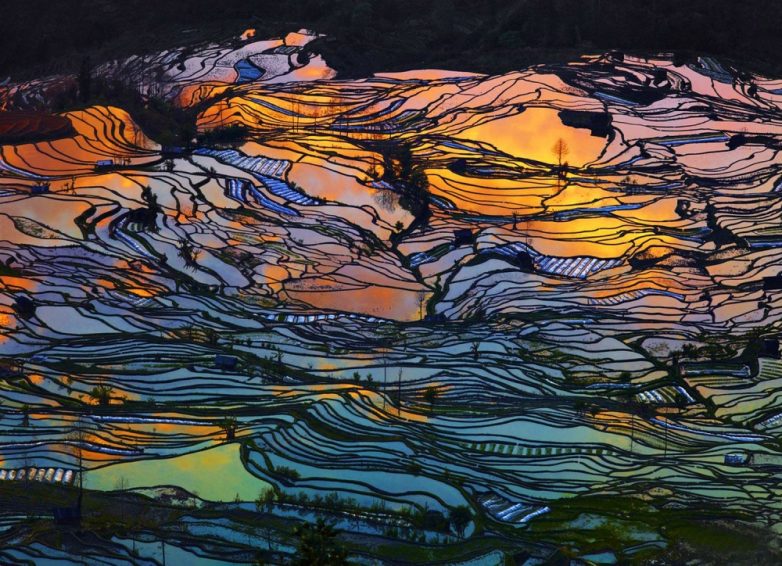 Картины Ван Гога на полях в Китае
