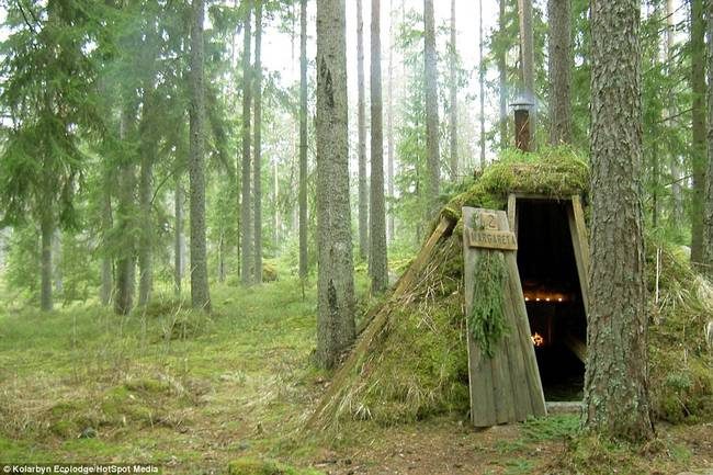 Вдали от суеты: лесной отель в Швеции