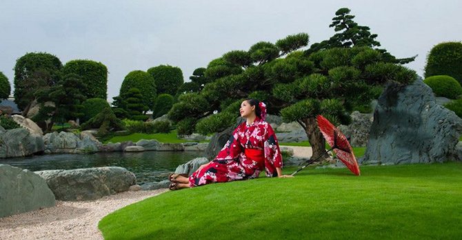 Красочный и яркий японский сад