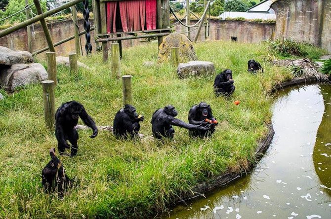 Самые интересные зоопарки мира