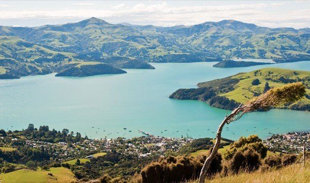 Интересная информация о Новой Зеландии
