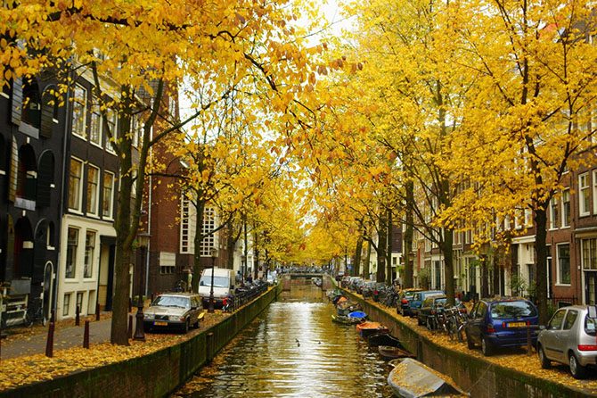 Золотая осень в Амстердаме