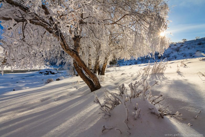 Суровая и прекрасная алтайская зима