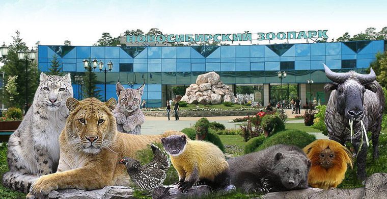 10 лучших зоопарков России