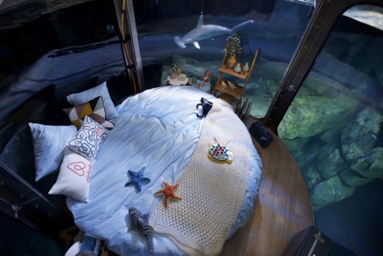 Подводная спальня, где можно переночевать с акулами