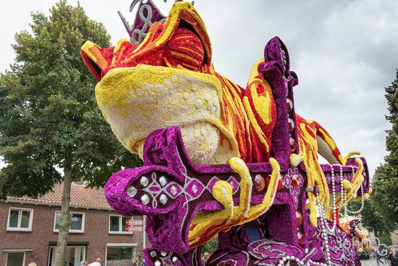 Невероятная красота: громадные цветочные скульптуры в Голландии
