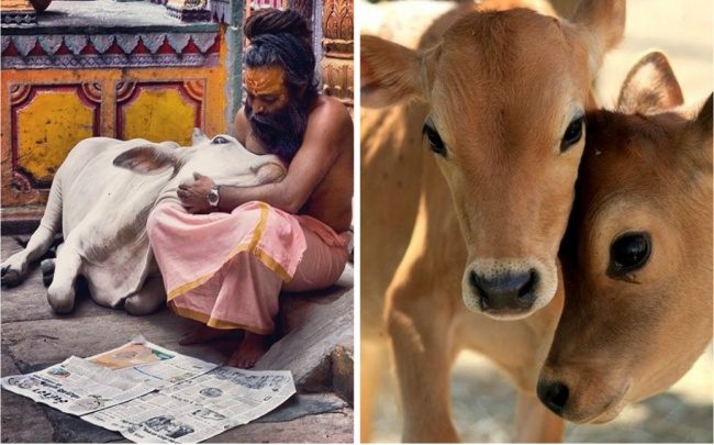 9 удивительных наблюдений, привезенных из путешествия по Индии