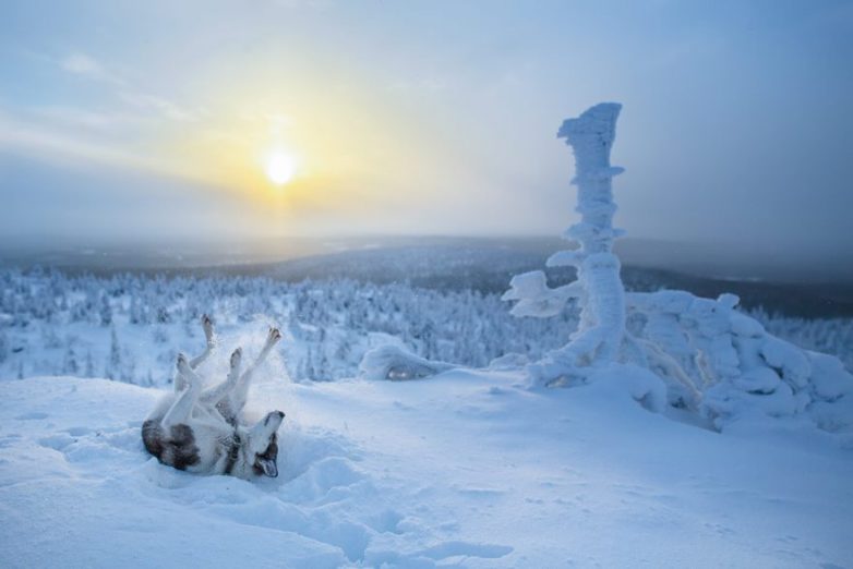 Самое волшебное место, чтобы справлять Новый год - Лапландия