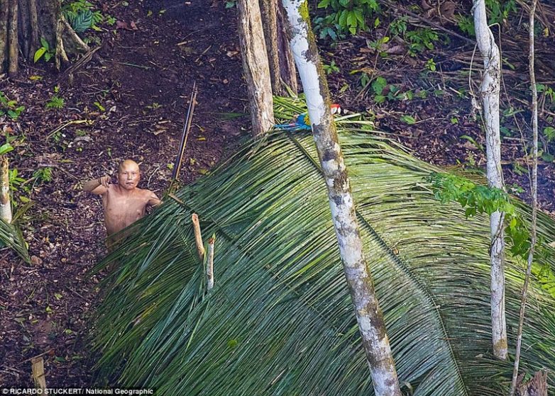 Репортаж из диких джунглей Амазонки