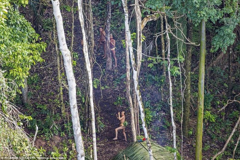 Репортаж из диких джунглей Амазонки