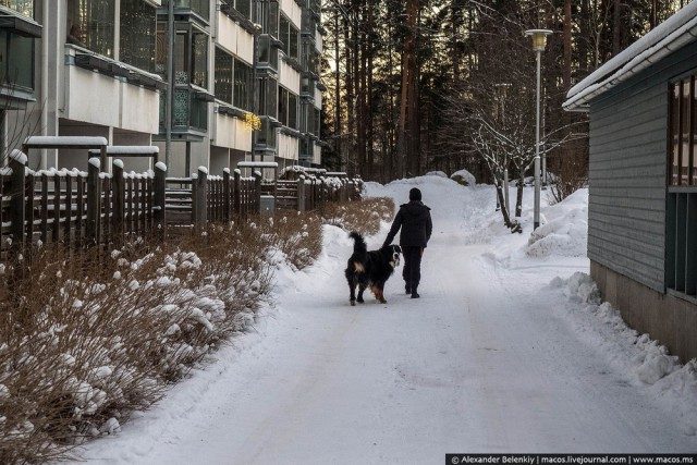 Как живут в спальных районах Финляндии