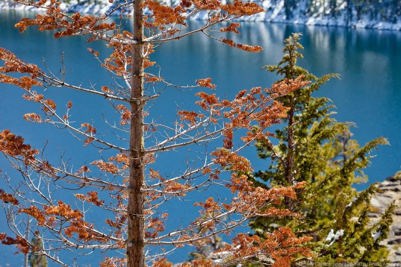 Озеро Тахо: красивое, горное, глубоков