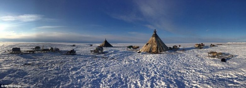 Как живёт один из коренных народов Русского Севера