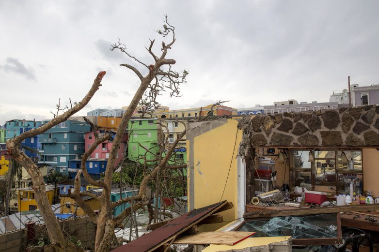 Ободранные деревья и подводные улицы: ураган &quot;Мария&quot; не пощадил Карибы