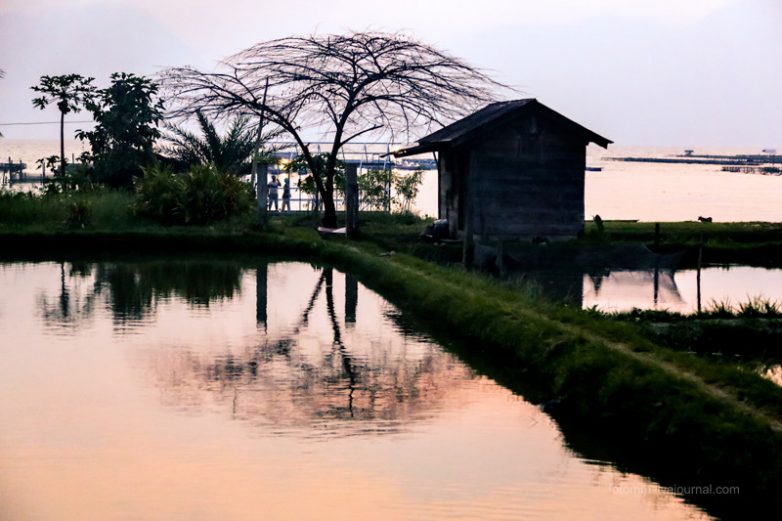 Озеро Манинджао, Суматра: неведомая страна невиданных красот