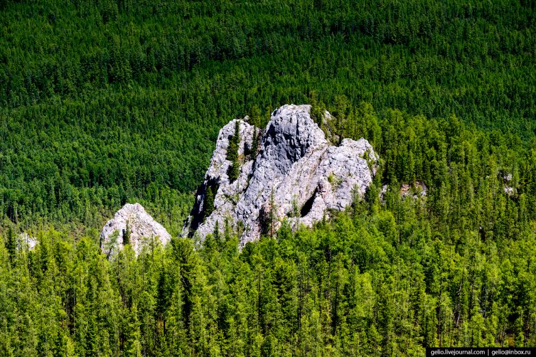 Тофалария: край возле неба, затерянный в Саянах