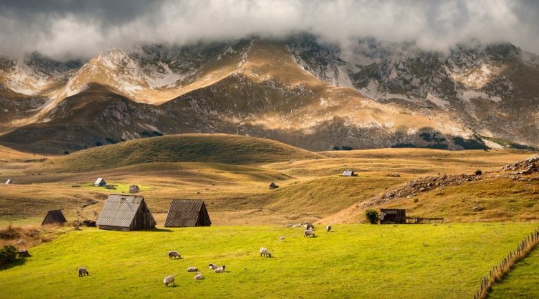 Потрясающая Черногория: страна, в которую нельзя не влюбиться