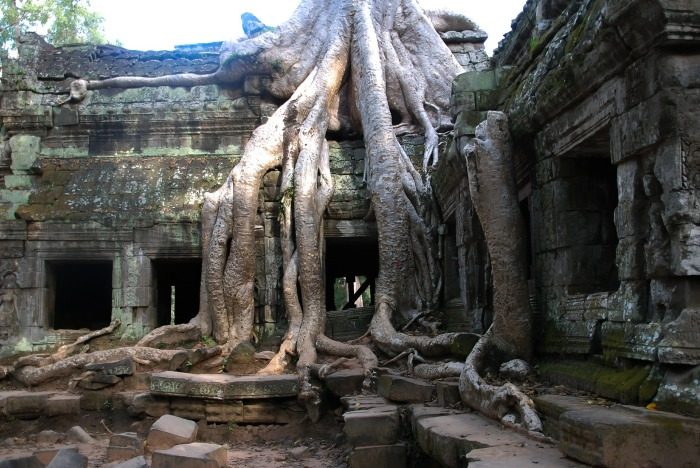 Тайны Ангкора: заброшенная архитектурная жемчужина в джунглях Камбоджи