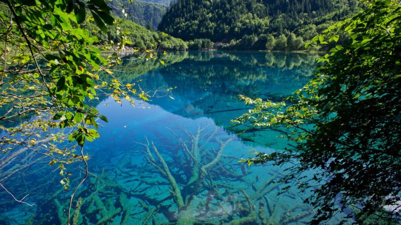 15 потрясающих мест с самой прозрачной водой на планете