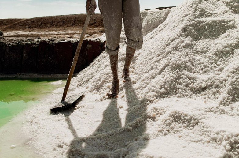 Фотопроект о том, как в Индии соль добывают