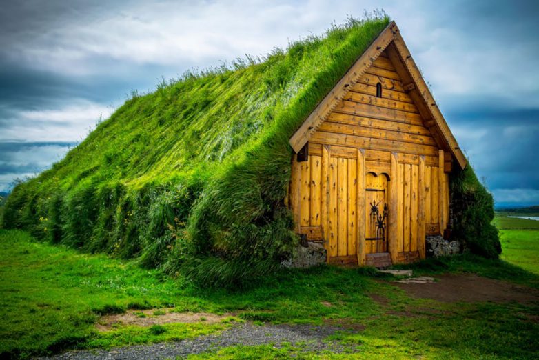 Уютные скандинавские домики с травой на крыше